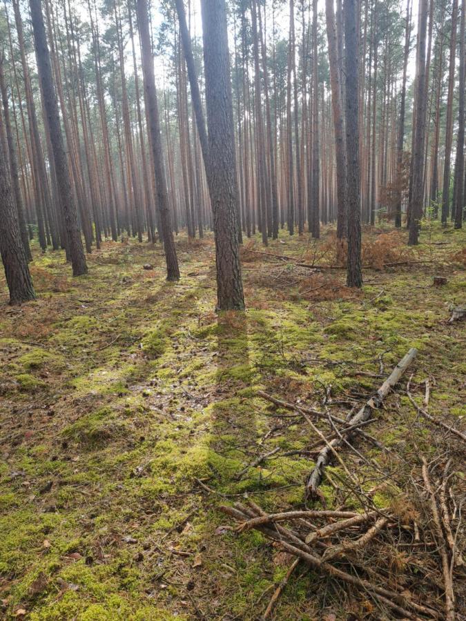 Sloneczny Zakatek Vila Lubrza  Exterior foto